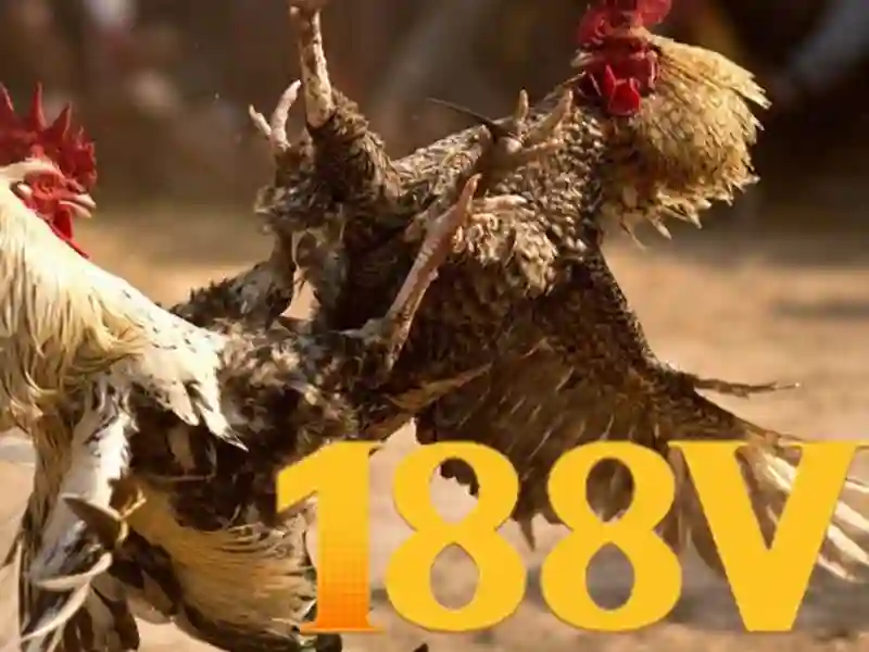 đăng nhập 188v - 188V - chicagosfoodbankstore.org